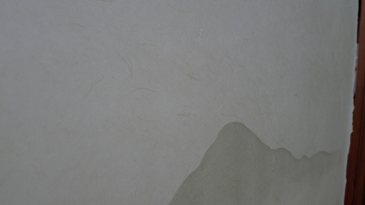 SH-3000-42