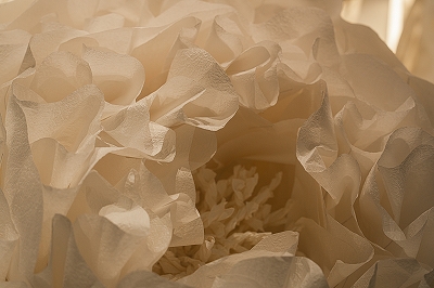 archive-507 NEWoMan TAKANAWA LUMINE 20250910 