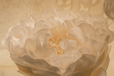 archive-507 NEWoMan TAKANAWA LUMINE 20250910 