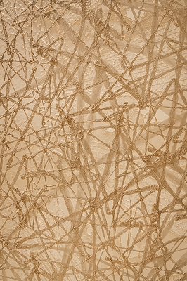 archive-507 NEWoMan TAKANAWA LUMINE 20250910 