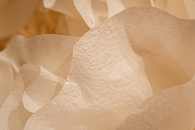 archive-507 NEWoMan TAKANAWA LUMINE 20250910 