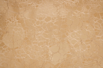 archive-507 NEWoMan TAKANAWA LUMINE 20250910 