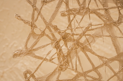 archive-507 NEWoMan TAKANAWA LUMINE 20250910 