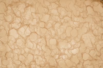 archive-507 NEWoMan TAKANAWA LUMINE 20250910 