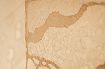 archive-507 NEWoMan TAKANAWA LUMINE 20250910 