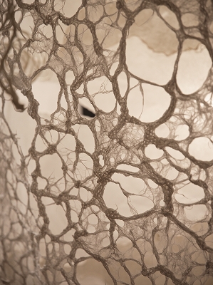 archive-514 BAMBOO EXPO 20251211-12 Washiya x&nbsp;Goibuchi