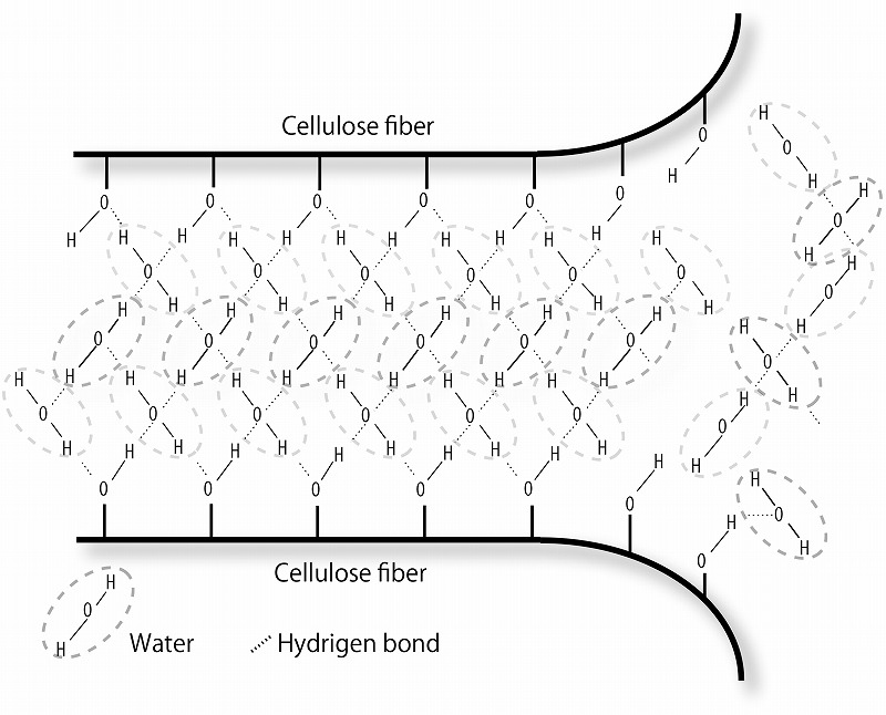 Hydrogen bond