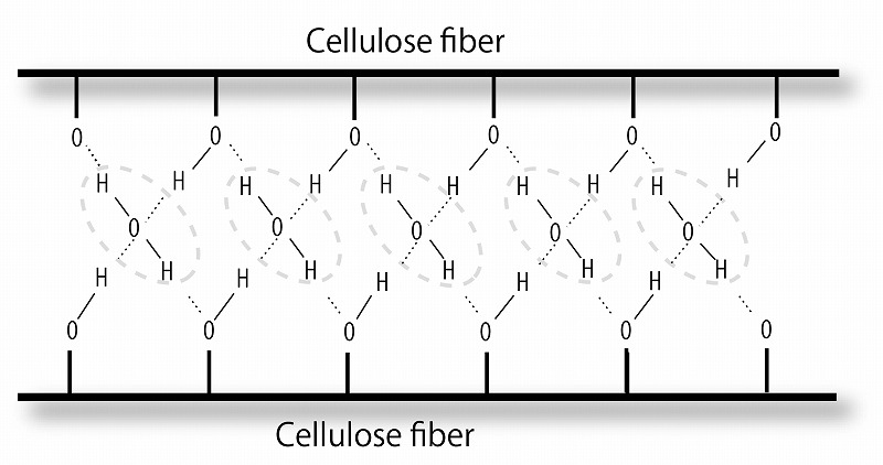 Hydrogen bond