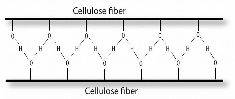 Hydrogen bond