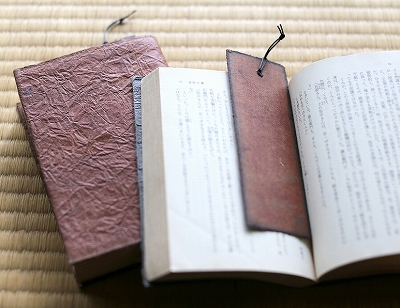 iwanoichibei bookcover