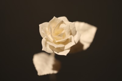 washi paper flower
