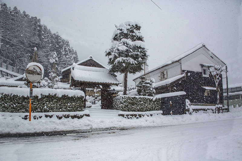 takenaka / hatakeyama