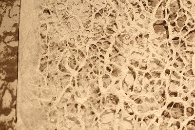 sample-369 Washiya in Paris exhibition