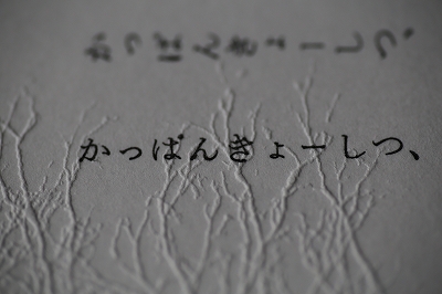 sample-383 decor washi test