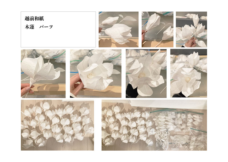 archive-501 shigeno mokuren project 20250221