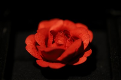 WashiPaper flowers
